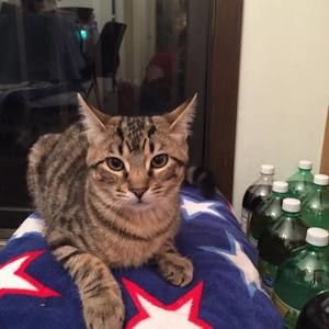 Meet your Posher, Matilda